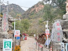 -大岭沟猕猴桃谷风景区