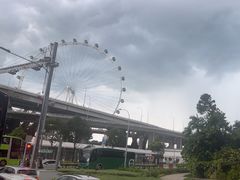 -新加坡摩天观景轮