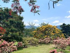 -中国科学院西双版纳热带植物园