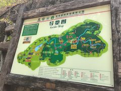 -西双版纳原始森林公园