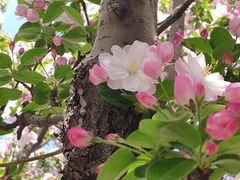 -元大都城垣遗址公园