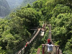 -太鲁阁公园