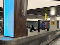 -谢列梅捷沃国际机场