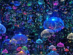 -上海梵高星空艺术馆(南京路旗舰店)