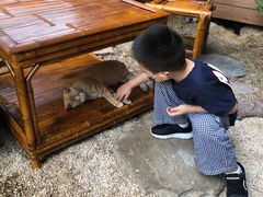 -凡烟外慢生活体验馆