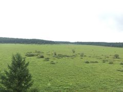 -塞罕坝国家级自然保护区