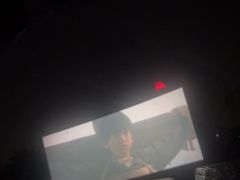 -枫花园汽车电影院(朝阳公园店)