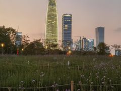 -深圳湾公园(南山区)