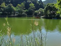 -广州市帽峰山景区