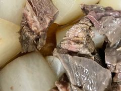 -深圳野生动物园