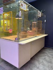-神奇动物撸宠馆·羊驼·小浣熊·异宠(豫园店)