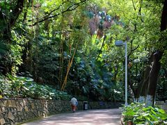 -中山公园(石岐街道)