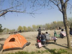 -东郊湿地公园