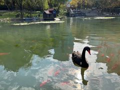 -白家餐厅(徐家汇店)