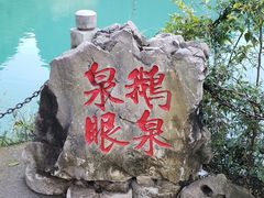 -靖西鹅泉风景区