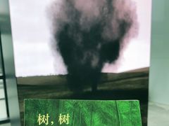 -上海当代艺术博物馆