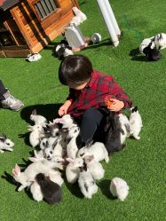 -萌宠亲子动物乐园(槐房万达店)