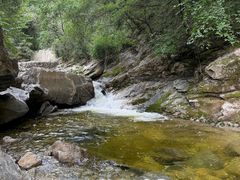 -少华山国家森林公园