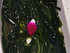 -千牛将·鲜牛肉火锅(开元路店)