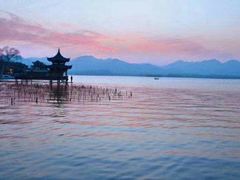 -西湖外事游船(花港观鱼码头)