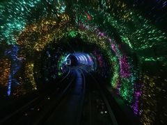 -东方明珠国际旅行社有限公司