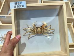 -济南恒隆广场