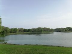 -贡湖湾湿地公园