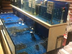 水产区-姜君·千岛湖鱼头馆(浦东大道店)