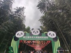 -都江堰中华大熊猫苑