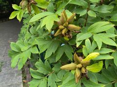 -幕燕滨江·长江观音景区