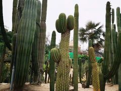 -南山植物园