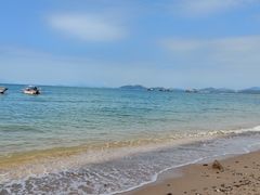 -广东惠东海龟国家级自然保护区