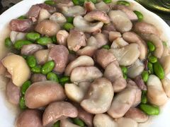 -大莲湖农家乐(青西郊野公园店)