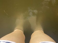 -碧海金沙