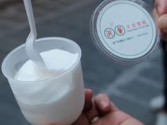 -洪馨椰子