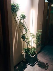 -芳香乐府疗愈空间·SPA·冥想