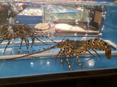 水产区-大铁勺新津菜(东丽阳光新业广场店)