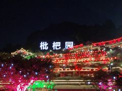 -枇杷园食为鲜火锅(南山店)