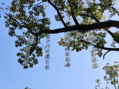 -慈城古县城景区