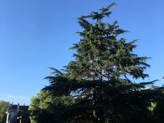 -上海财经大学(国定路校区)