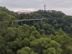 -金鸡山公园