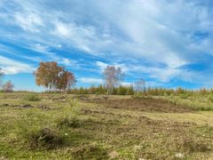 -塞罕坝国家级自然保护区