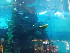 -鸿通城购物中心