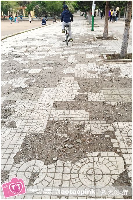 哈尔滨师范大学(江南校区)图片