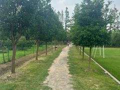 -前小桔亲子创意农场·草莓采摘·露营烧烤