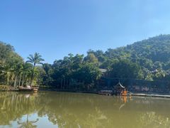 -西双版纳原始森林公园