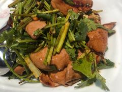 香菜拌腰花-洪福龙虾