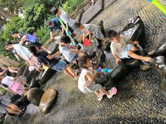 -成都市活水公园