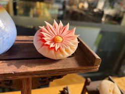 -保丽宝泰母婴护理院·月子中心·产康·中医(常州店)