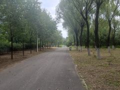 -青龙湖公园
